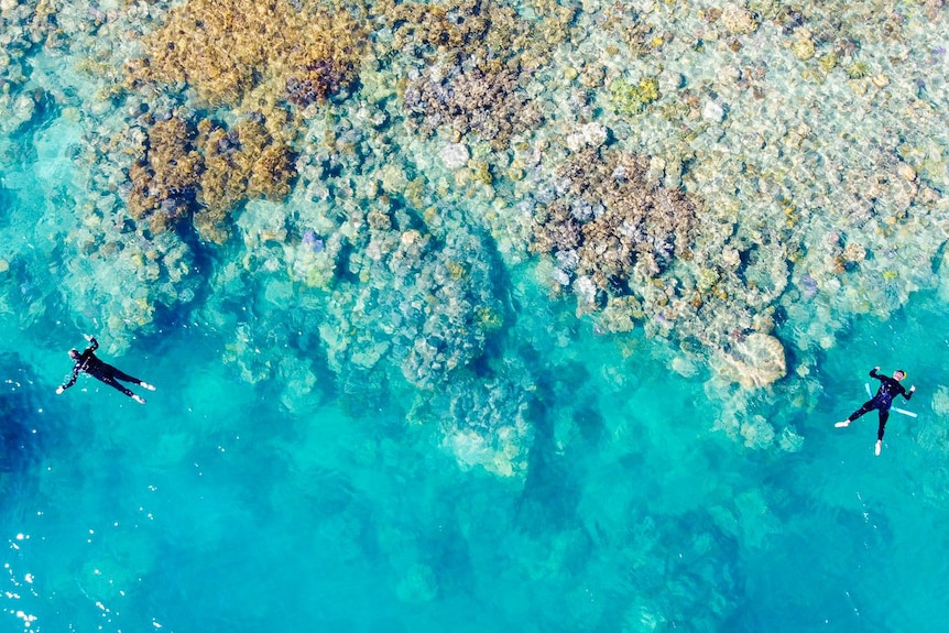 Two unidentified people floating in snorkel gear in the middle of the reef.