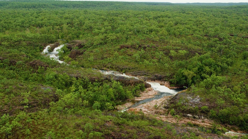 An aerial shot of a waterfall surrounded by green bush land.