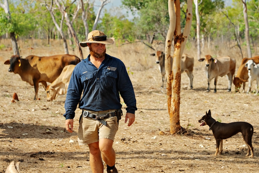 Farmer on his land with cattle in the background and a dog.