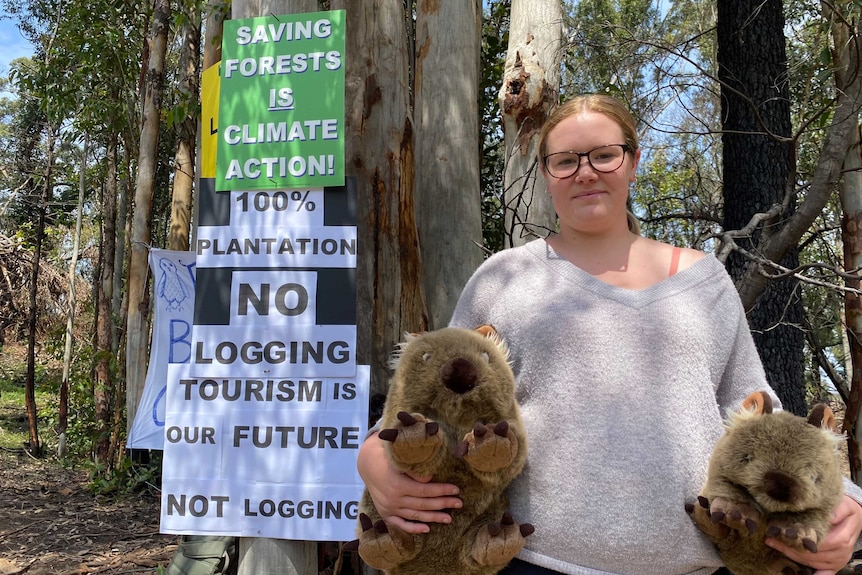 South Brooman Forest resident Takesa Frank, holding two toy wombats, at the Brooman Campout with anti-logging signs