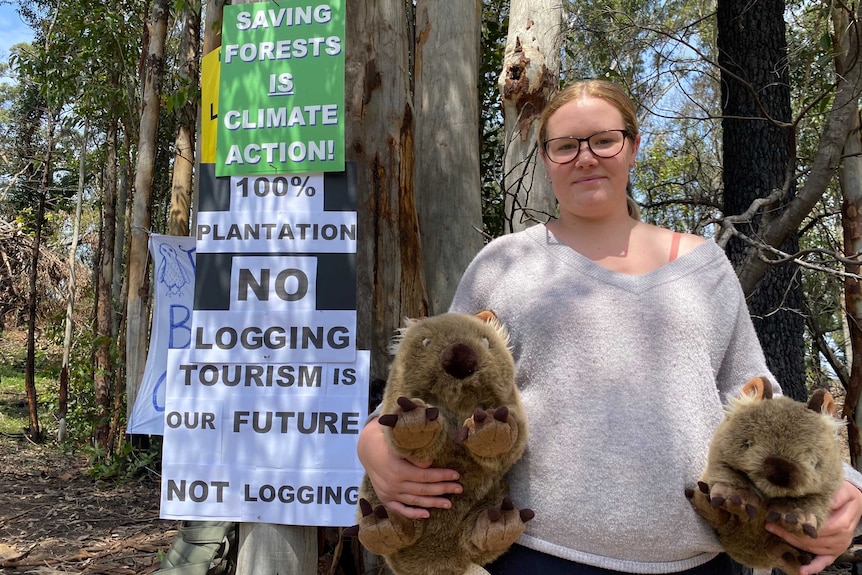 A woman standing in front of a tree covered in protest signs and holding stuffed wombats.