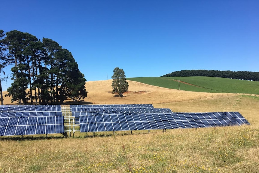 Solar panels on a farm.