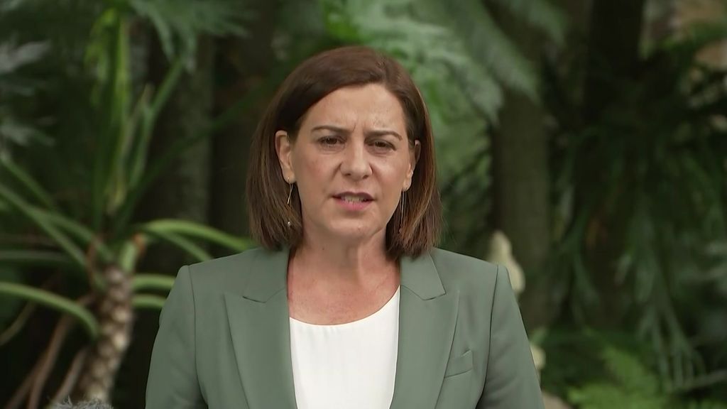 Deb Frecklington Stands Down As LNP Leader - ABC News