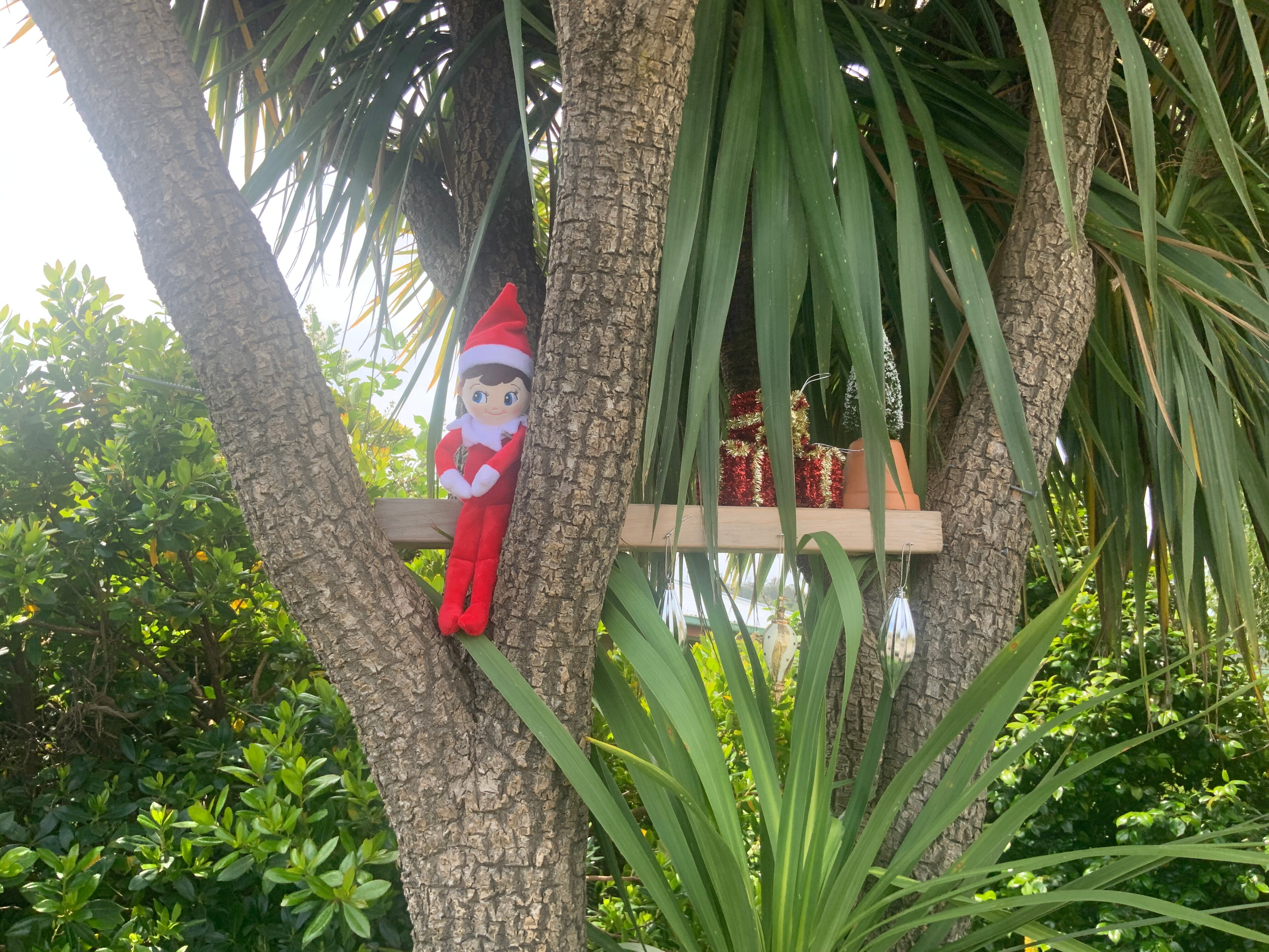 A small red toy up a tree.
