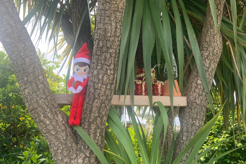 A small red toy up a tree.