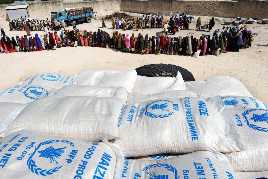 Somalians queue for food in Mogadishu.