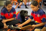 Two Dareton students read to the school's therapy dog Sheekie during class.