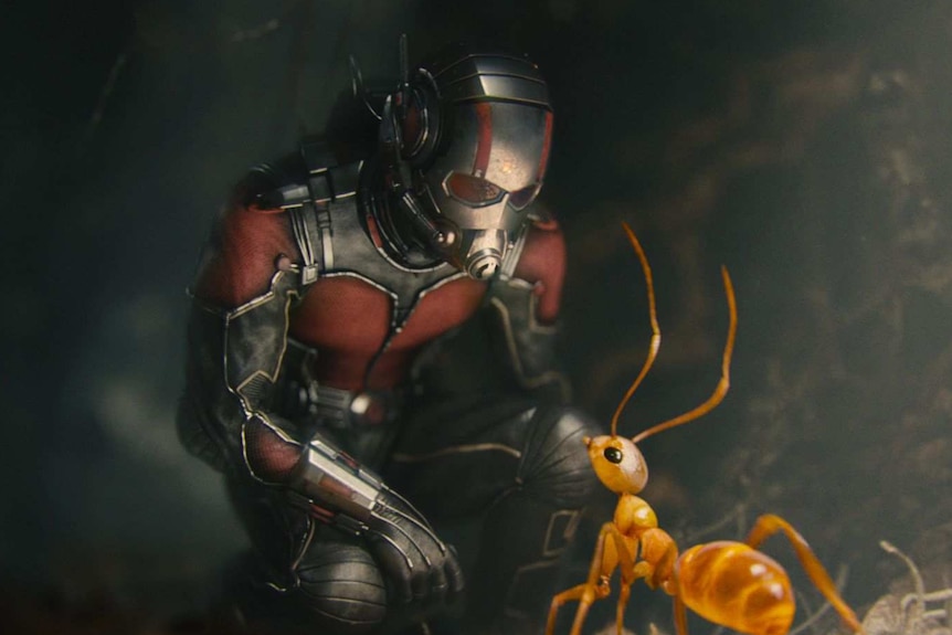 Scott Lang as Ant-Man with an ant.