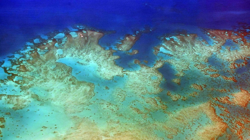 An aerial view of bleached reef.