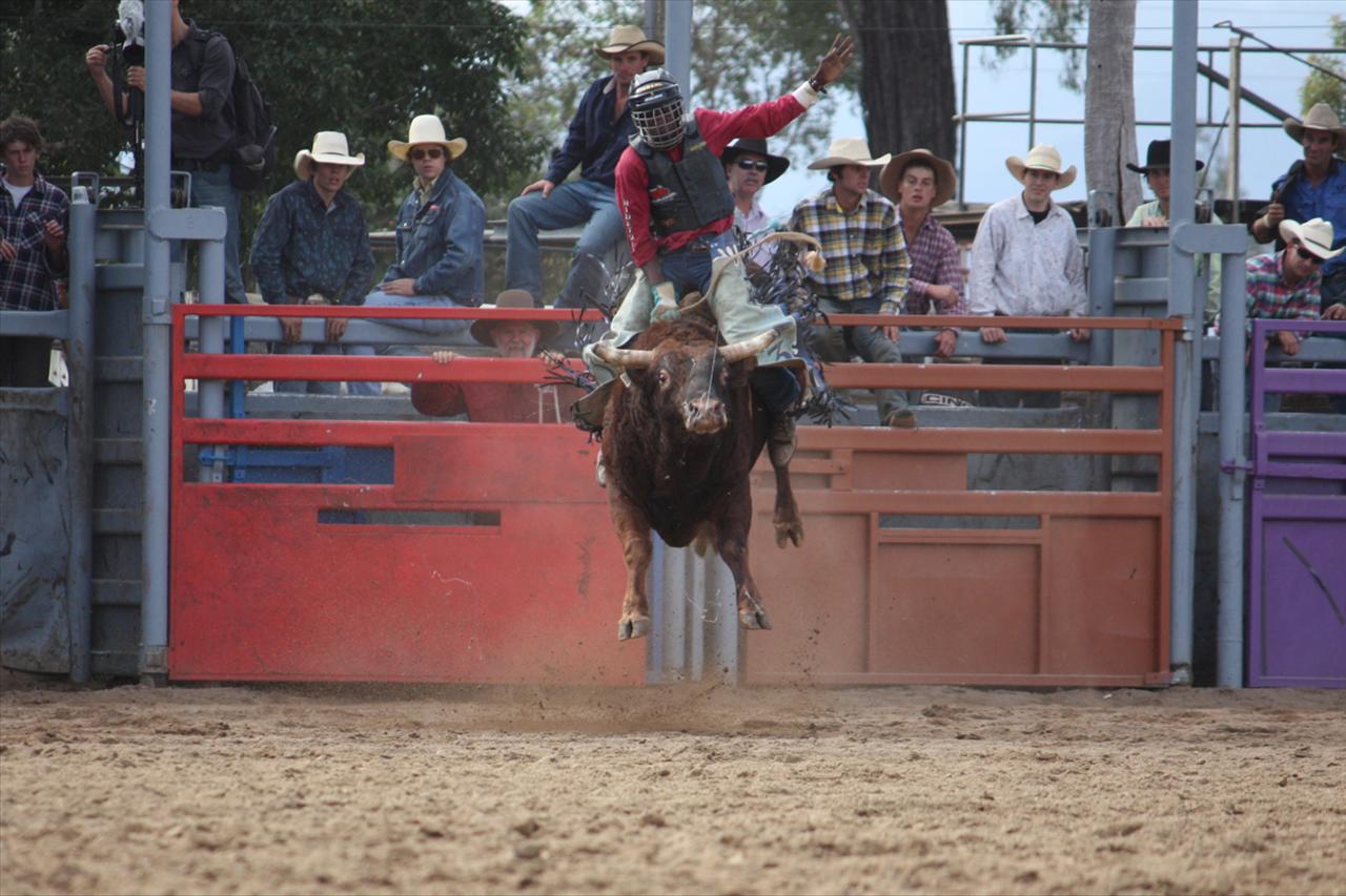 2010 61st Mareeba Rodeo - ABC News