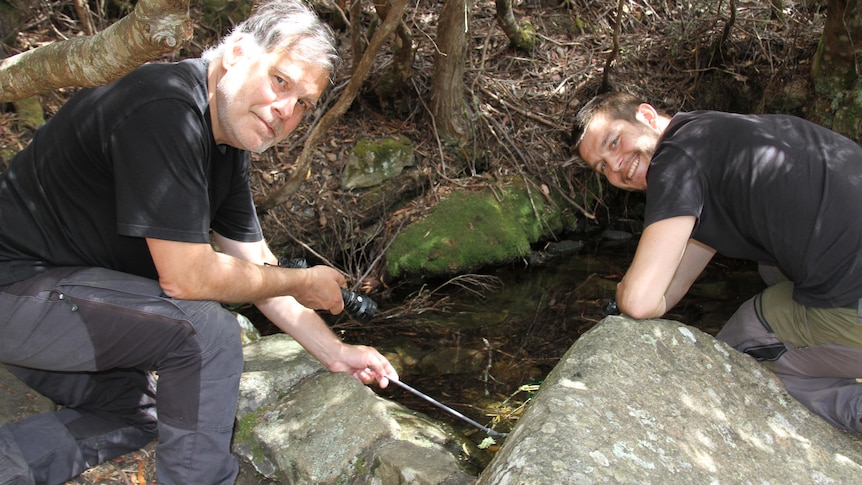 Two men in dark clothes are looking into a rock pool in the bush, one is holding a net and the other is shining a torch.
