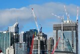 Cranes on Melbourne buildings seen from West Melbourne
