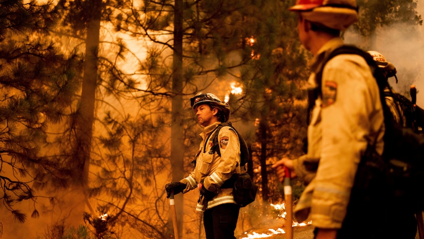 Firefighter monitoring large flames 