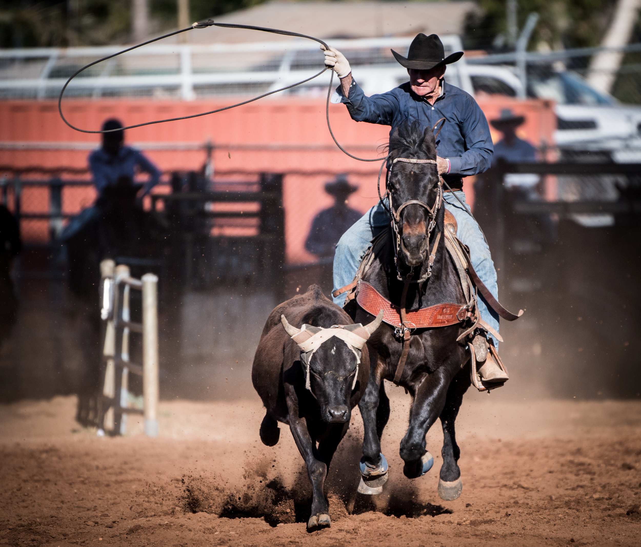 Bob completes in the calf roping event.