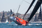 A supermaxi boat races along Sydney Harbour with at least half of the hull lifted out of the water.