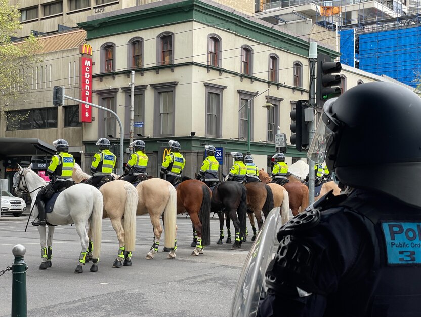 A row of mounted police.