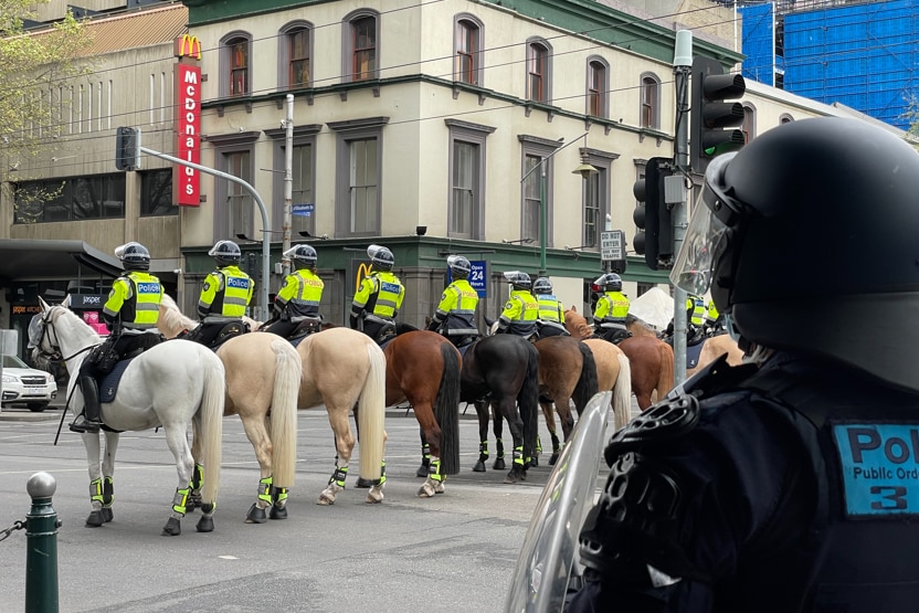 A row of mounted police.