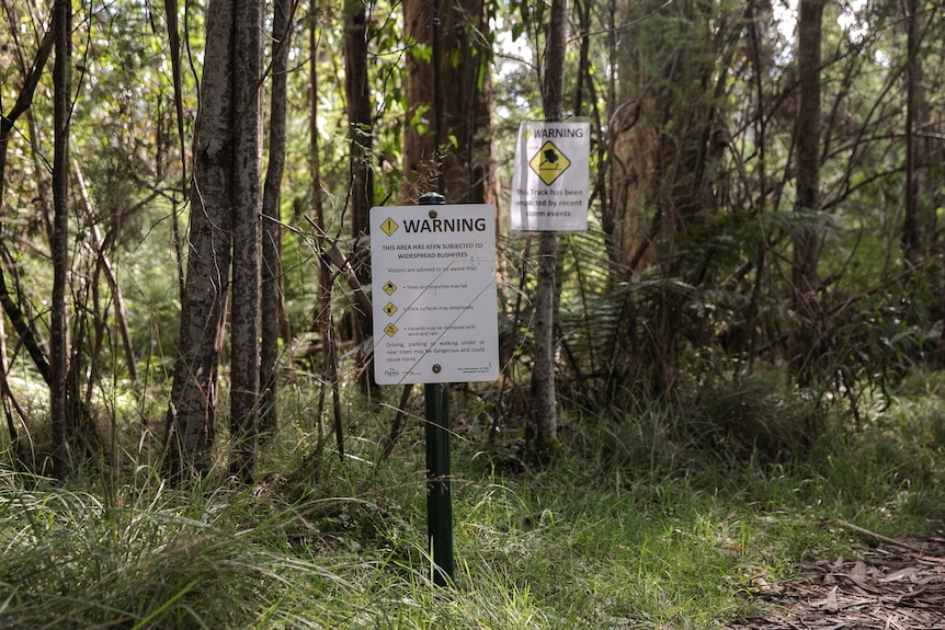 Warning signs in mountain ash forest near Cambarville in Victoria's Central Highlands.