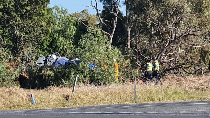 Police and CFS crews at the scene of a crash.