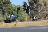 Police and CFS crews at the scene of a crash.
