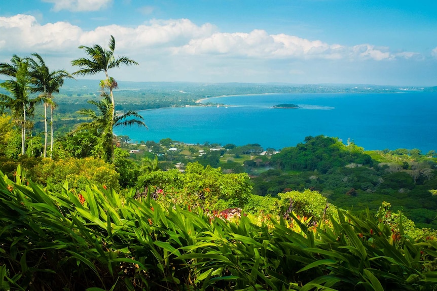 Sweeping views of the water from a summit in Vanuatu.