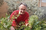 A man stands behind a collection of potted plants.