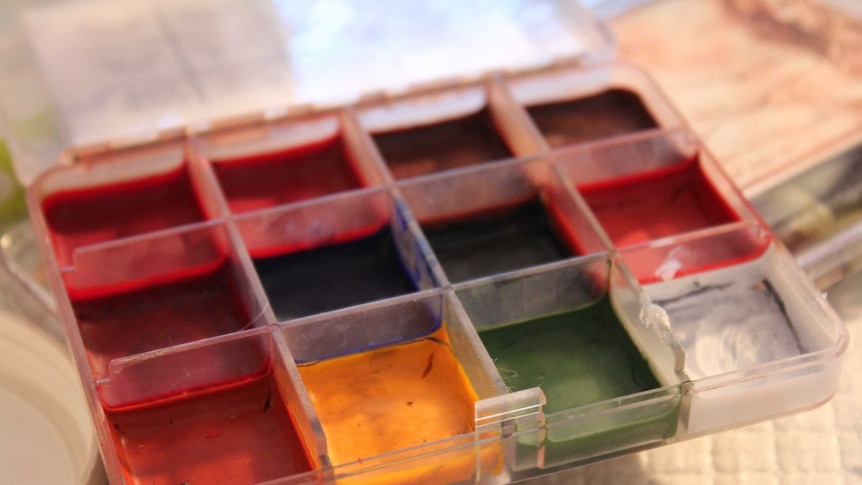 Paint in different compartments that is used when creating special effects makeup.