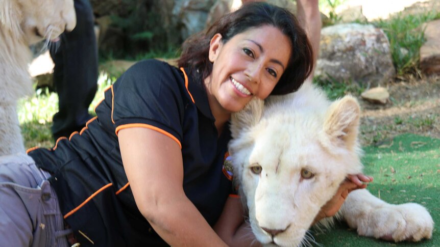 Crocodylus Park's Giovanna Webb meets white lion cubs Zouri and Aralie