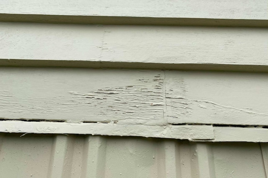 Paint peeling off the weatherboards on a Queenslander-style home.