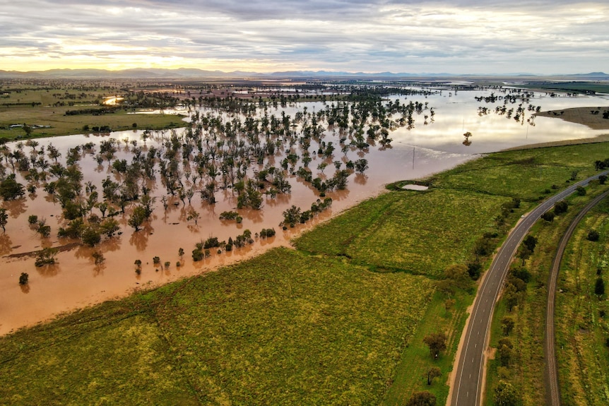 Floodwaters across a large plain with tree