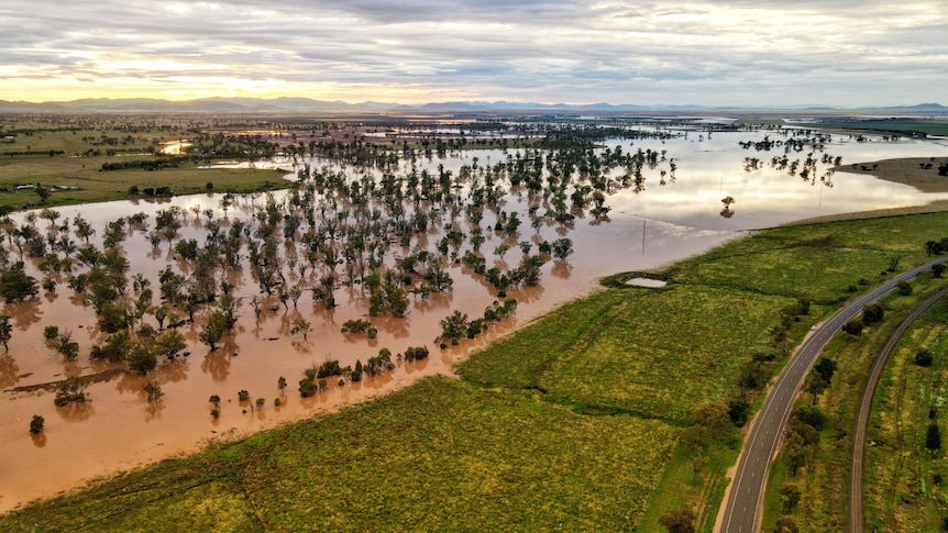 Floodwaters across a large plain with trees.