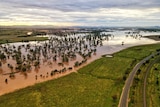 Floodwaters across a large plain with trees.
