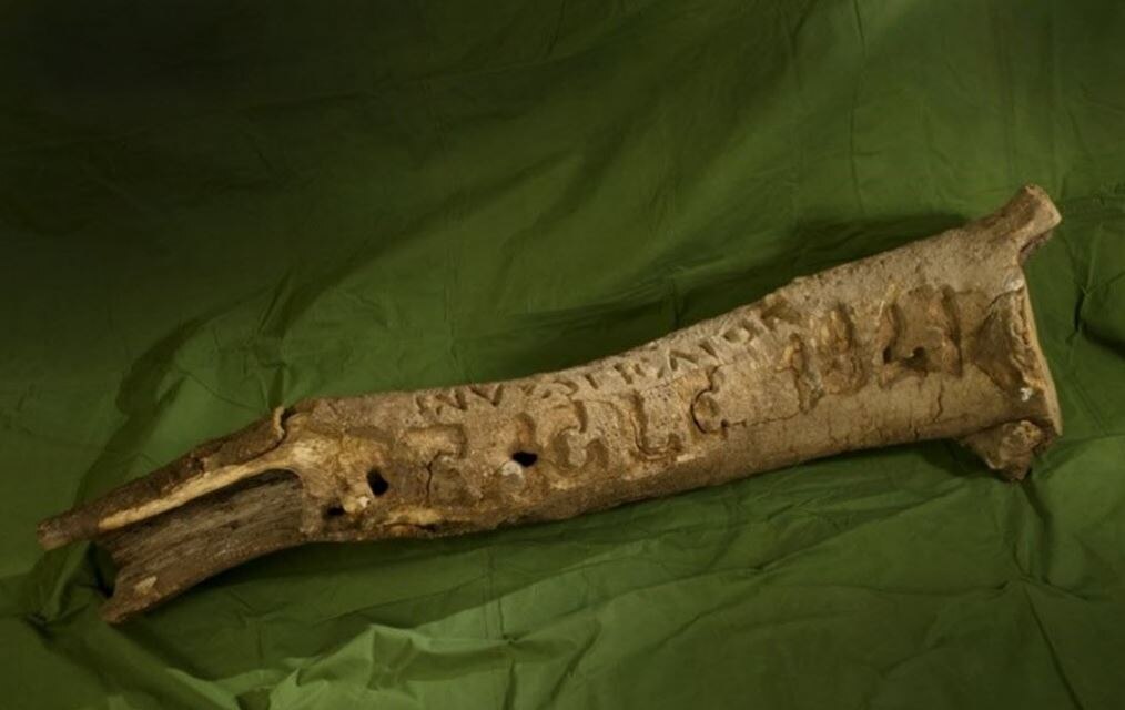 Matthew Flinders' 'Investigator' tree stump analysis busts Chinese ...