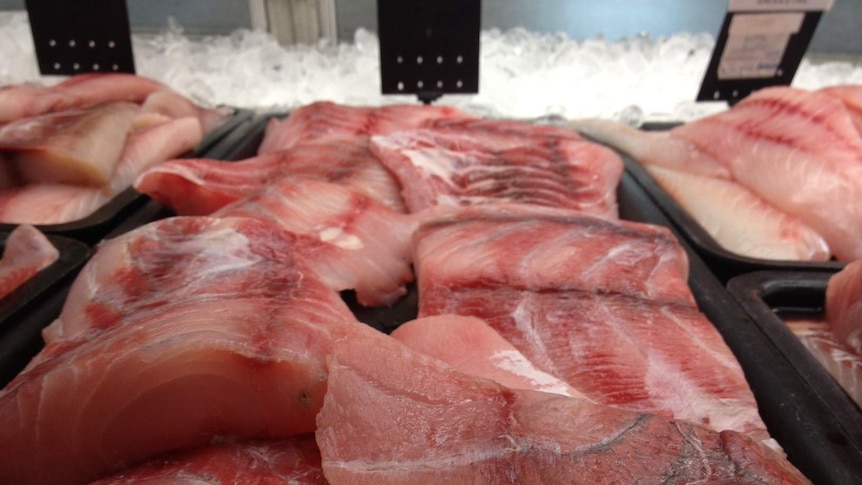 Barramundi fillets for sale in Darwin.