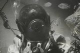 Staged underwater image of a hard-hat diver collecting shell.