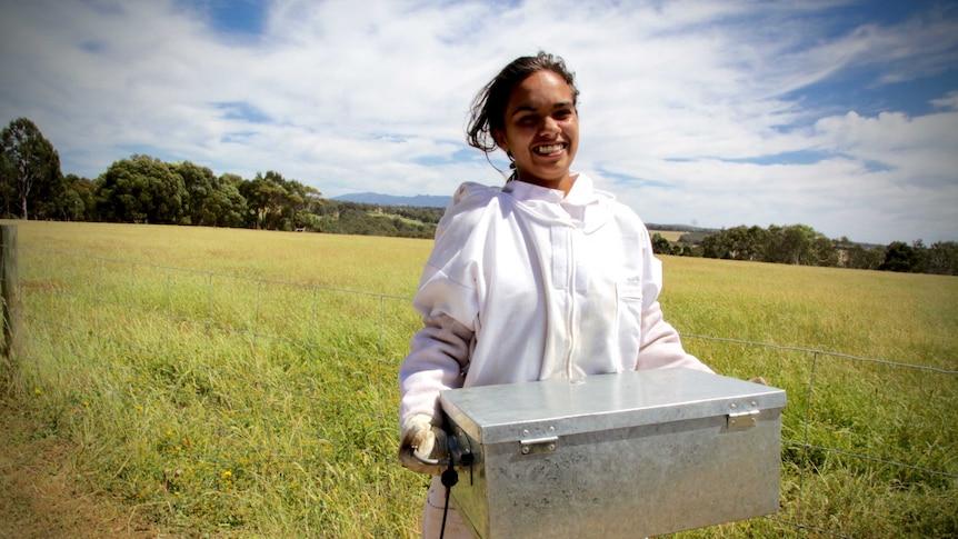 Young Harvest turns job seekers into beekeepers