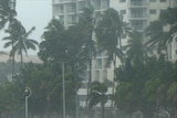 The storm surge in Cairns reached about half-a-metre above the highest tide level.
