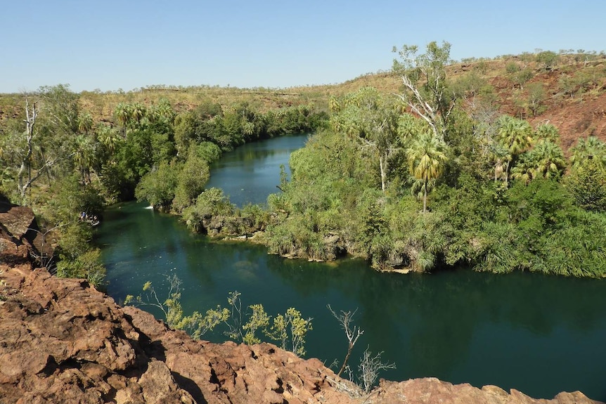 Waterholes and bush