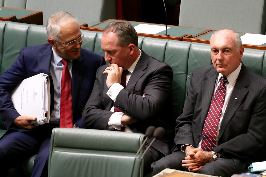 Malcolm Turnbull, Barnaby Joyce and Warren Truss