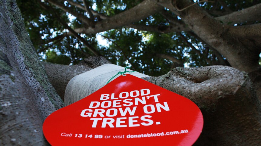 sign saying blood doesn't grow on trees