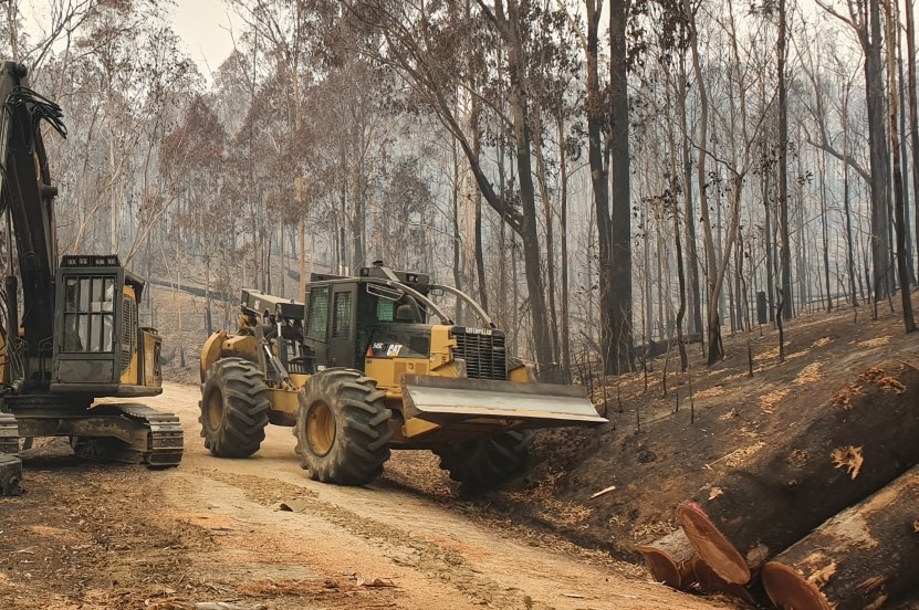 Front-end loader clearing trees in fire damaged forests in East Gippsland