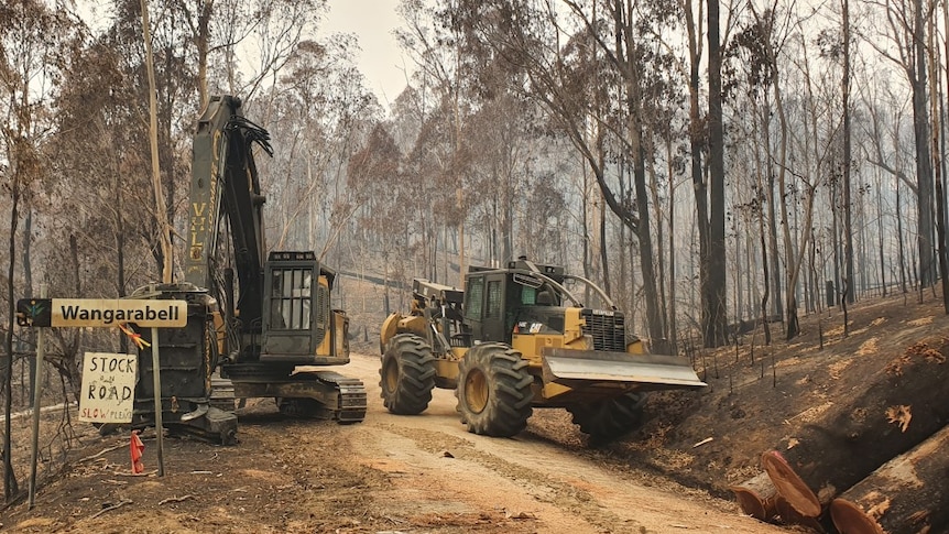 Front-end loader clearing trees in fire damaged forests in East Gippsland.