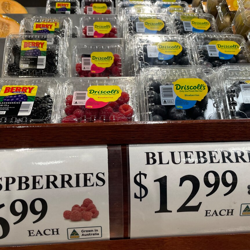 Punnets of fresh raspberries selling for $6.99 and blueberries for $12.99 sit on a supermarket shelf.
