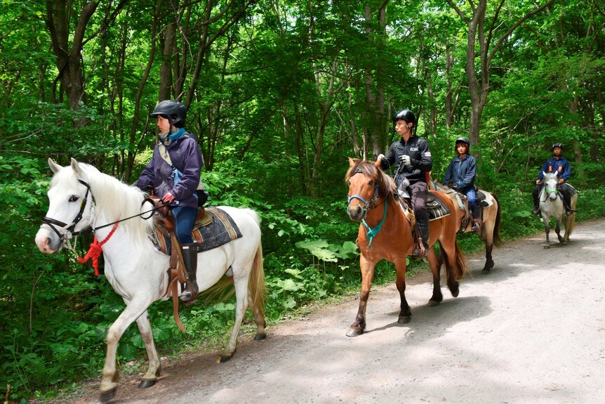 Four police sit on horses as they move through forest