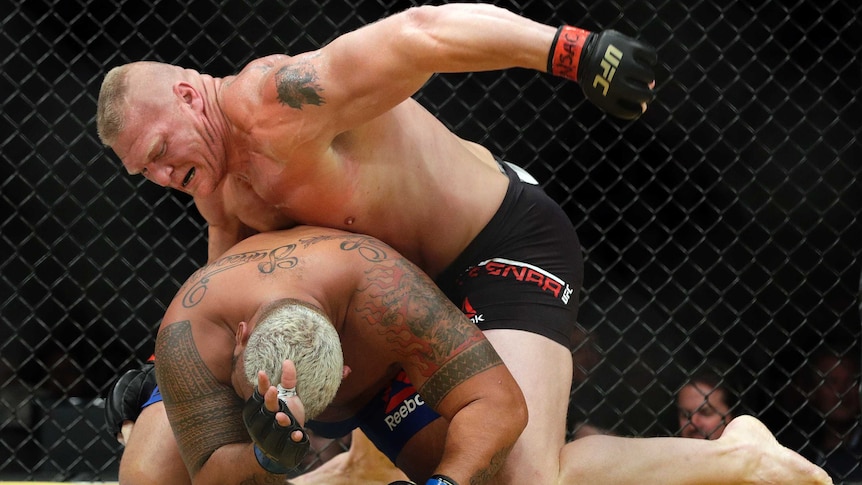 Brock Lesnar fights Mark Hunt in UFC