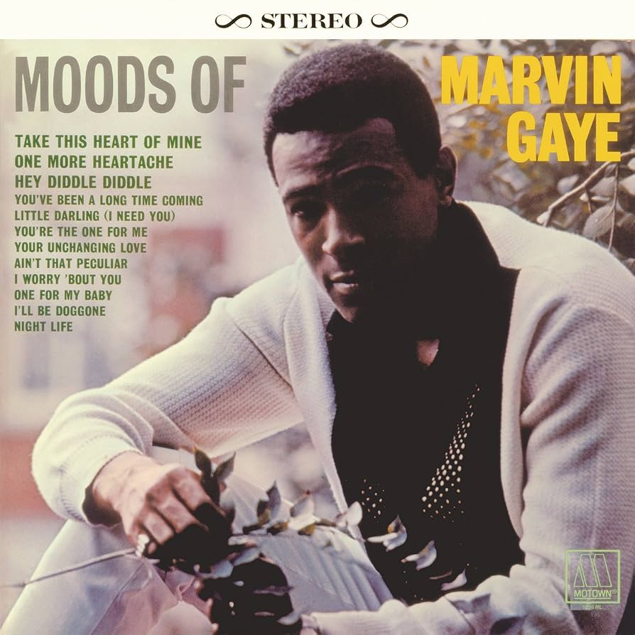 Marvin Gaye looks at the camera in a nice suit
