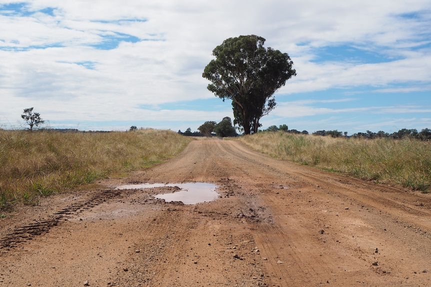 Country dirt road with pothole filled with water and tree and blue sky in the distance