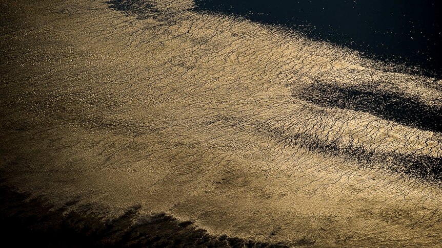 Salt reflects golden afternoon light in Lake Eyre.