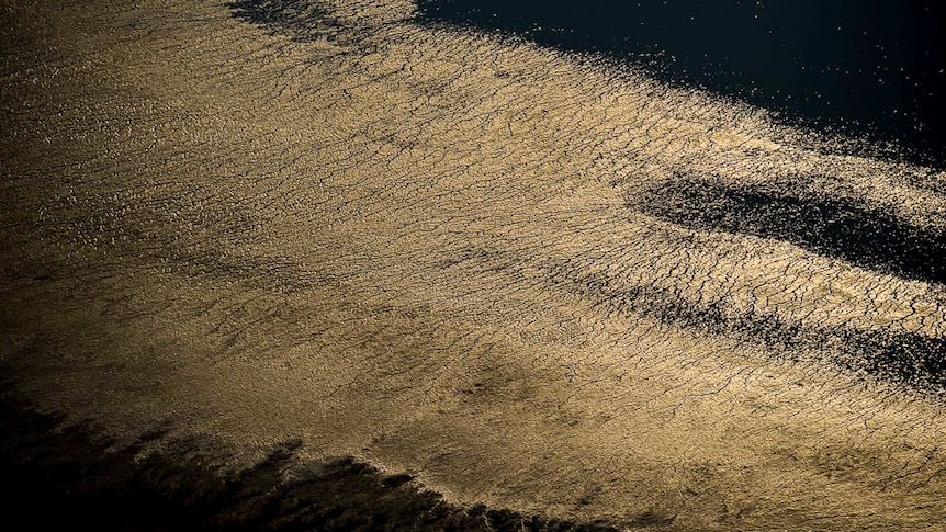 Salt reflects golden afternoon light in Lake Eyre.