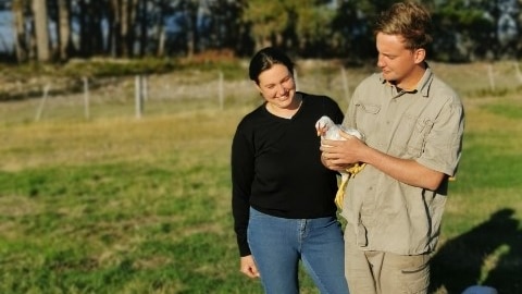 young man and woman in paddock with chickens, young man holding chickens